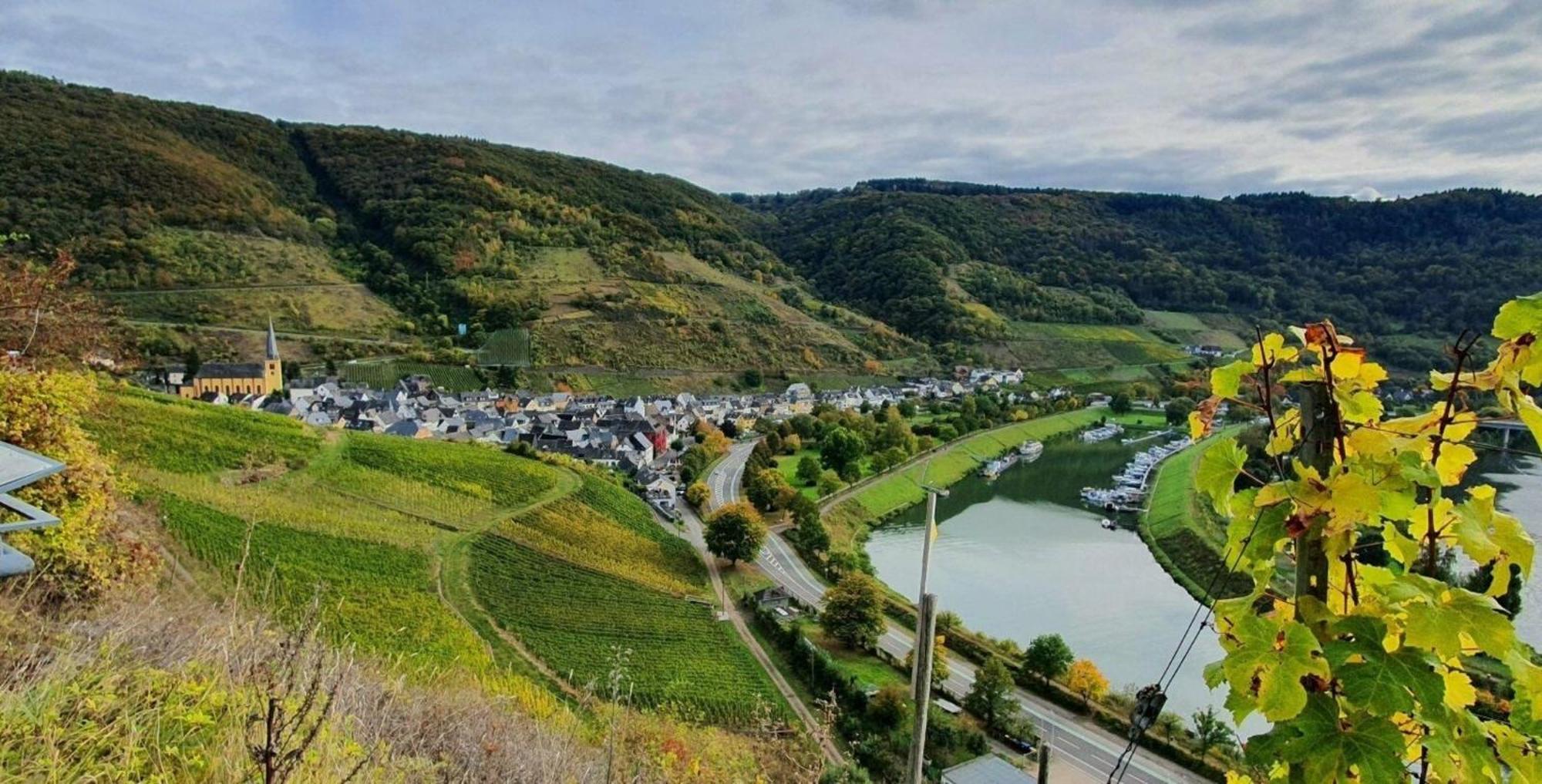 Ferienwohnung An Der Mosel, Romeo Senheim Esterno foto