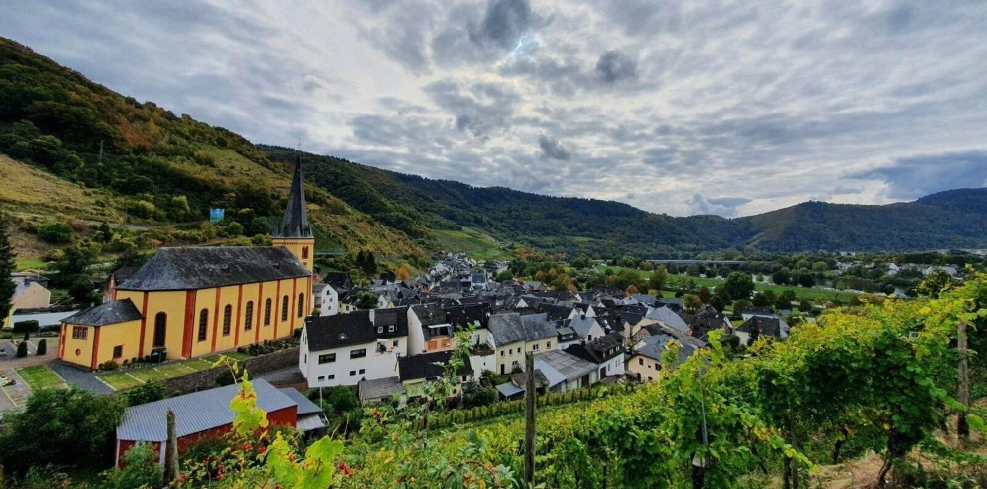 Ferienwohnung An Der Mosel, Romeo Senheim Esterno foto